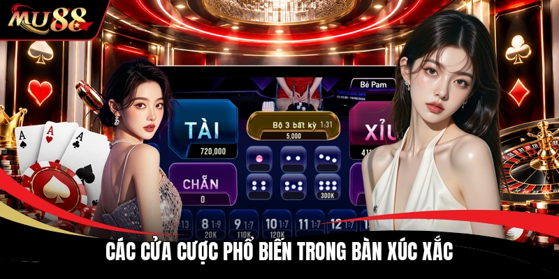 Các cửa cược phổ biến trong bàn xúc xắc