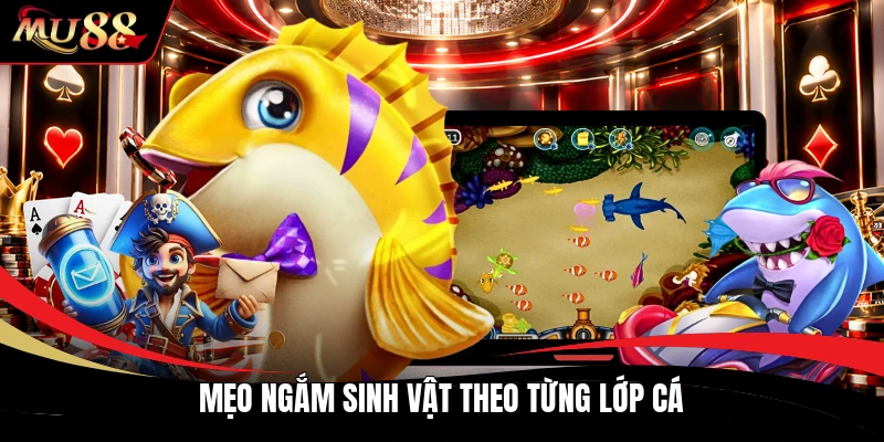 Mẹo ngắm sinh vật theo từng lớp cá