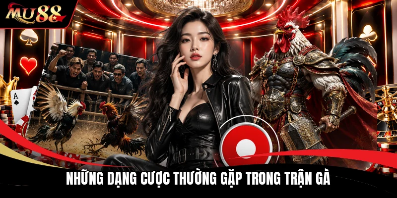 Những dạng cược thường gặp trong trận gà